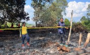 Buka Kebun Sawit dengan Cara Dibakar, Pria di Pelalawan Ditangkap Polisi