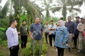 Cegah Karhutla dari Sumbernya, Kasmarni Dorong Pembersihan Lahan dengan Bantuan Alat Berat