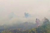 Melawan Angin, Menjinakkan Bara: Detik-Detik Menegangkan di Hutan Pematang Pudu