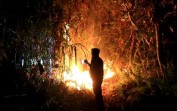 Tiga Hektar Semak Belukar Terbakar di Sungai Beringin Tembilahan