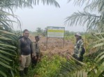 Polda Riau Awasi Lahan Bekas Karhutla, Cegah Kebakaran Jadi Modus Buka Lahan