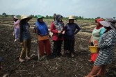 Petani Teluk Lanus Keluhkan Irigasi, Ratusan Hektare Lahan Tak Bisa Digarap