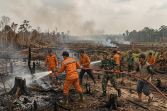 Hotspot Inhu Tertinggi di Riau, Terdeteksi 84 Titik di Tengah Penanganan Karhutla