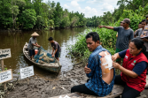 Buaya Terkam Nelayan di Bangko Pusako Rohil, Korban Alami Luka Gigitan di Punggung