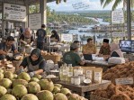 Potensi 435 Ribu Hektare Kelapa di Inhil Jadi Modal Penguatan Hilirisasi Kuala Selat