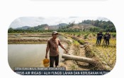 Petani Kolam Ikan Mengaku Jadi Kambing Hitam Krisis Air Irigasi, Aktivis Desak Pemerintah Usut Dugaan Kerusakan Kawasan Hutan.