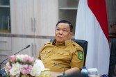Hotspot Turun Drastis, Plt Gubri: Pendinginan Lahan Gambut Pascakebakaran Harus Dilakukan