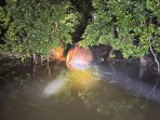 Geger! Paus 4 Ton Terdampar Jadi Bangkai di Hutan Mangrove Inhil