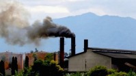 Kabut Asap Karhutla Mengancam, Bupati Siak Minta PKS Setop Bakar Janjang Kosong