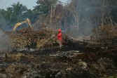 Karhutla Riau Mulai Mereda, Pemadaman Fokus di Bengkalis, Inhu, dan Inhil
