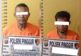Dua Perambah Hutan Konsesi PT Arara Abadi di Bengkalis Ditangkap Polisi