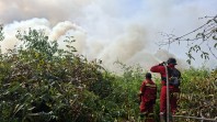 Amankan Lokasi Karhutla Inhu, Tim Gabungan Pastikan Tidak Ada Api Susulan