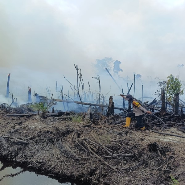 Polsek Pujud Padamkan Karhutla di Tanjung Medan, 2 Hektare Lahan Berhasil Dikendalikan