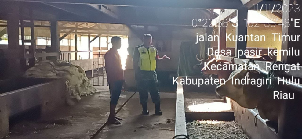 Lakukan Upaya Cegah PMK Serka Sakimin Turun Dan Cek Lapangan Di Desa Binaan