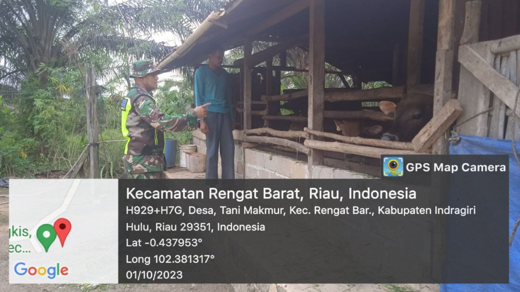 Agar Waspadai PMK Dengan Selalu Pantau Perkembanggan Sapi  Milik Warga Desa Binaan