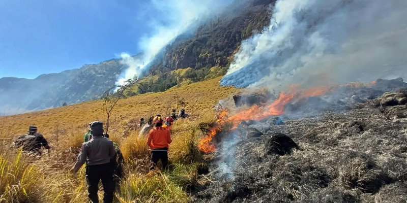 Savana Gunung Bromo Terbakar Lagi, DPR Heran Pengawasan Kemenhut Lemah!