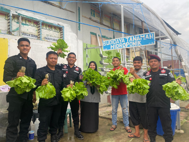 Sukses Lakukan Pembinaan, Rutan Rengat Panen Sayur Hidroponik Bersama Warga Binaan