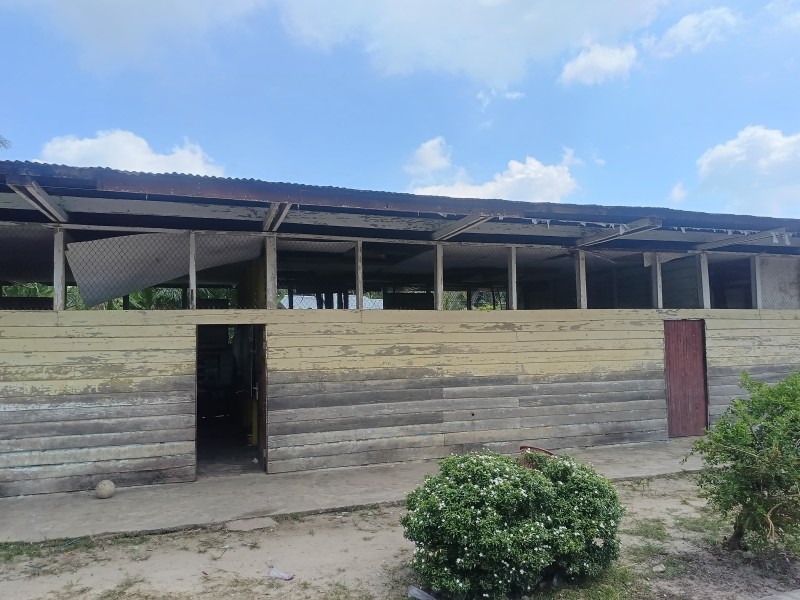 Miris! Gedung SDN 007 Sungai Pinang Rapuh dan Tak Layak, Transparansi Dana BOS Dipertanyakan