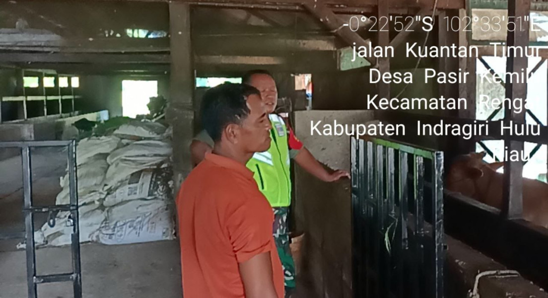 Babinsa Turut Ambil Bagian dalam Pemantauan PMK Terhadap Hewan Ternak Warga di Kecamatan Rengat