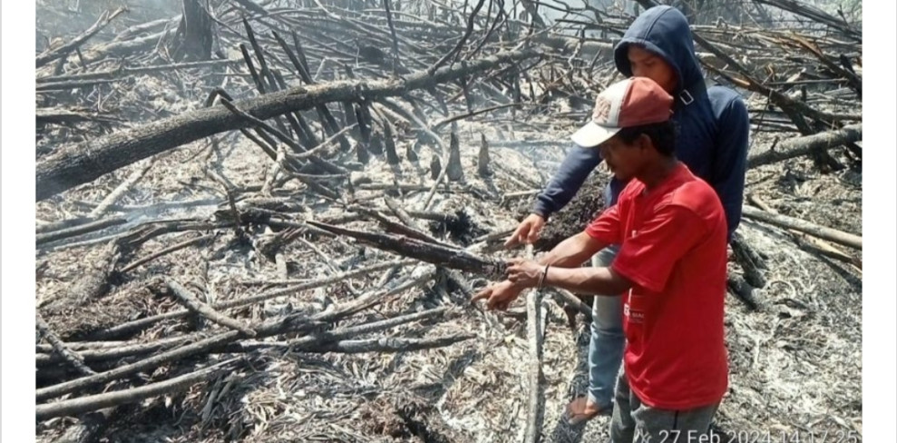 Diduga Bakar 1 Hektare Lahan untuk Kebun Sawit, Petani di Rohil Ditangkap
