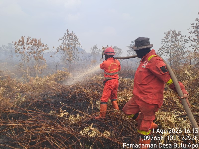 Karhutla Bengkalis: Pematang Pudu Mulai Aman, Tim Fokus Jinakkan Api di Buluh Apo