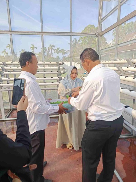 Bupati Hj. Kasmarni Ajak Warga Manfaatkan Pekarangan Rumah Tanam Aneka Sayuran