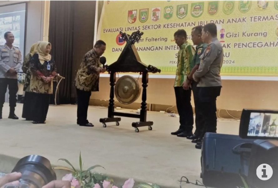 Pemerintah Provinsi Riau penuhi kebutuhan alat antropometri seluruh Posyandu