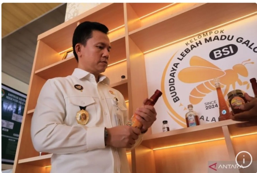 Sebanyak 1.265 Kopdes Merah Putih di Sumbar sudah berbadan hukum