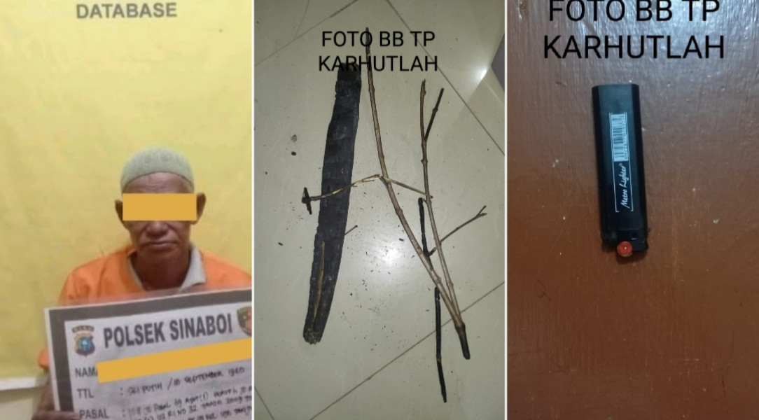 Ungkap Kasus Karhutla, Polsek Sinaboi Amankan Diduga Pelaku Sedang di Pondok Ladang