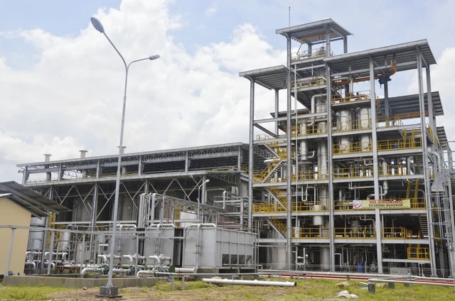 Prabowo Mau Tancap Gas E50, Mandatori Bioetanol Dinilai Harus Bertahap