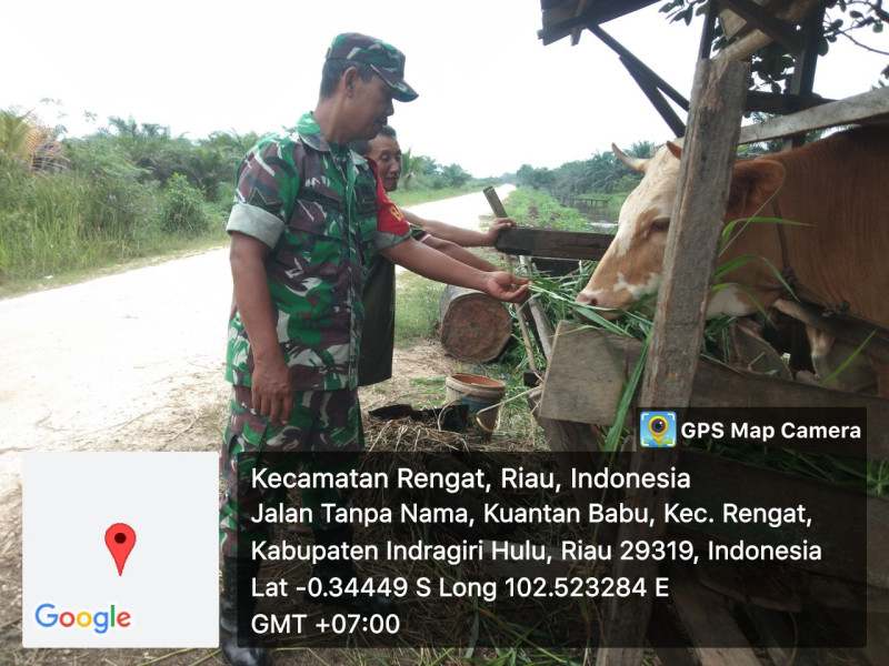 Karena Selalu Lakukan Pantauan dan Pencegahan PMK, Akhirnya Menurun dan Peternak Tersenyum