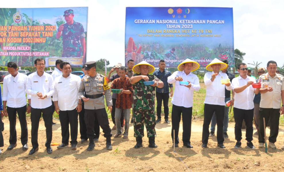 Gerakan Nasional Hanpangan Secara Serentak, Dandim 0302/Inhu Laksanakan Penanaman Jagung Secara Vidcon Dengan Wakil Presiden RI