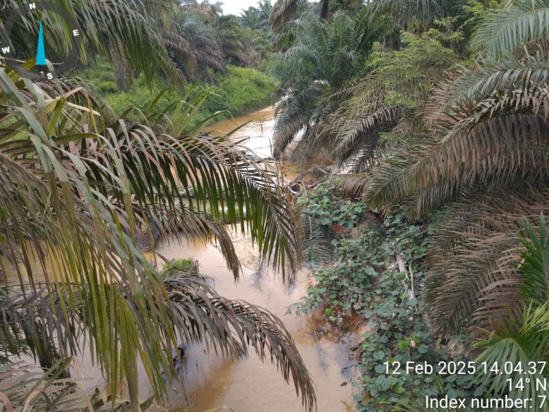 Di duga PT BINA FITRI JAYA Tanami sawit di aliran DAS Sungai bangso dan sungai sepahat