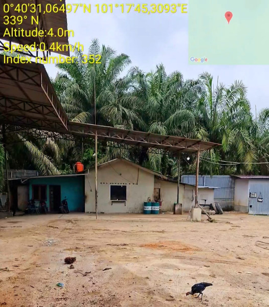 Ketua LSM BAN Riau minta pemerintah dan APH DI  Kampar tertibkan peron dalam kawasan hutan, Diduga tak berizin,