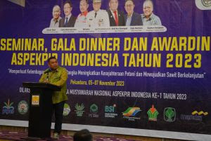 Riau Miliki Perkebunan Kelapa Sawit Terluas di Indonesia