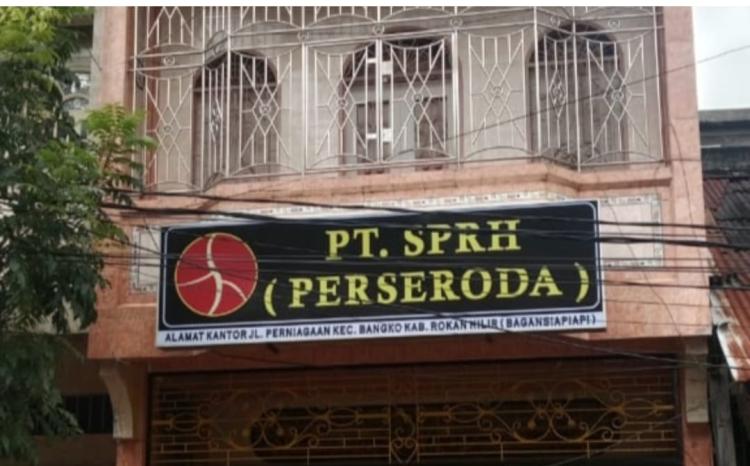 Kehancuran BUMD Rohil Akibat Kerakusan dan Salah Kelola