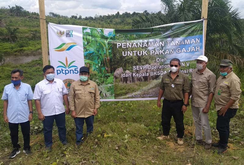 PalmCo-BBKSDA Riau Bersinergi