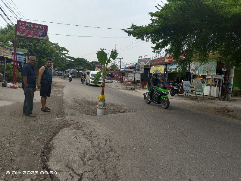 Antisipasi Lakalantas, Warga Tanam Pohon Pisang Ditengah Jalan Cipta Karya Pekanbaru