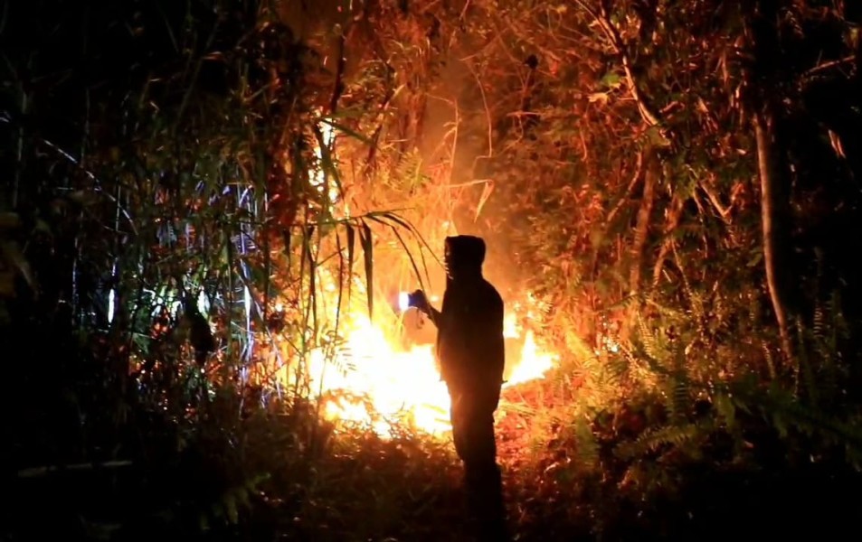 Tiga Hektar Semak Belukar Terbakar di Sungai Beringin Tembilahan