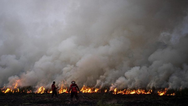 1.906 Hektare Lahan di Riau Terbakar, 34 Orang Jadi Tersangka