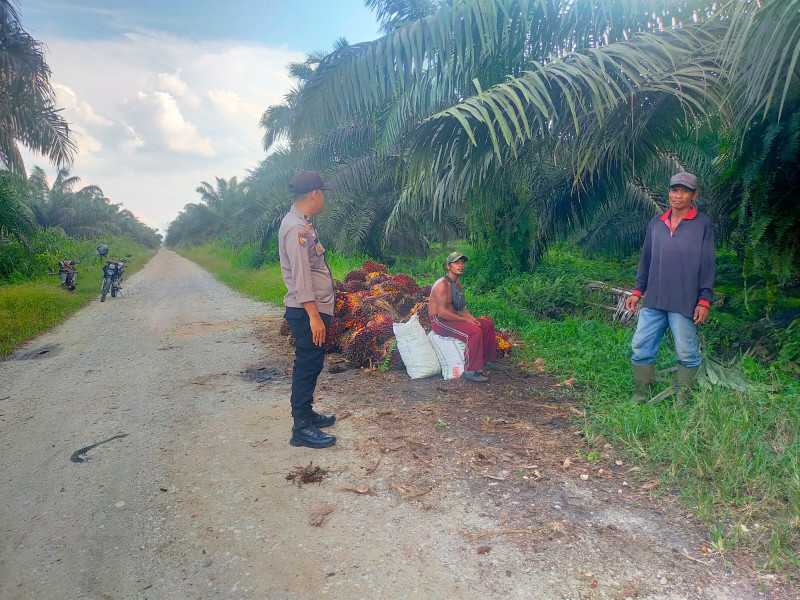 Antisipasi Karhutla, Bhabinkamtibmas Kp. Pinang Sebatang Aipda Dian P Bersama Warga Melakukan Patroli Karhutla