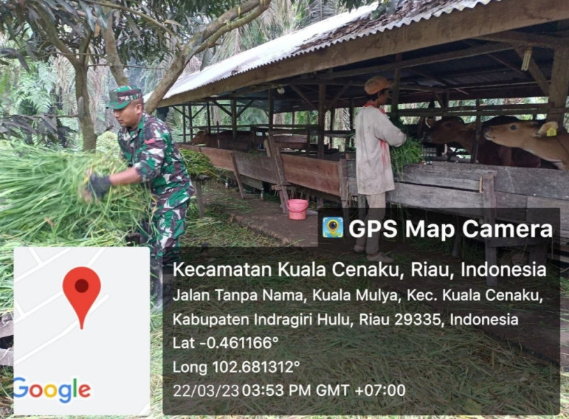 Masyarakat Tanah Datar Sebagian Terima BLT Dana Desa, Babinsa Koramil 01/Rengat Ikut Monitoring dan Kawalnya