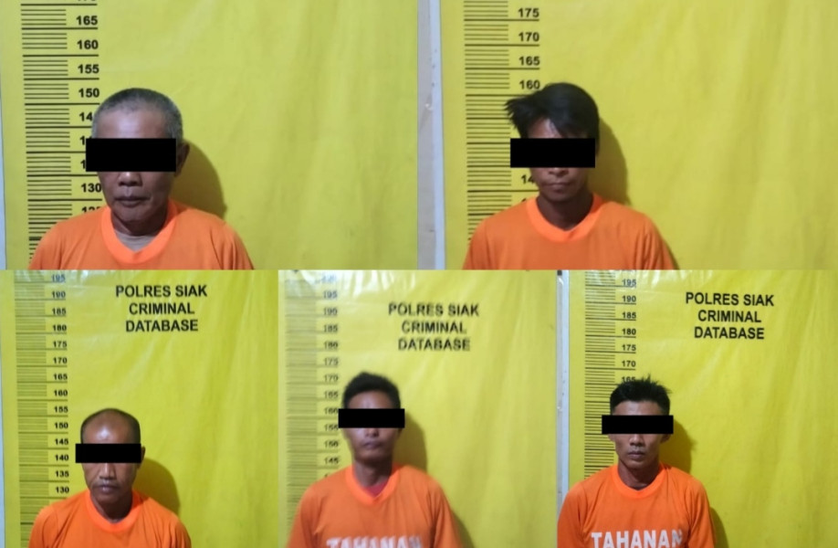 Curi Pupuk Milik Bos Mereka Dari Gudang, Polsek Minas Ringkus 5 Pekerja Kebun Sawit Ini, Satu Masih DPO