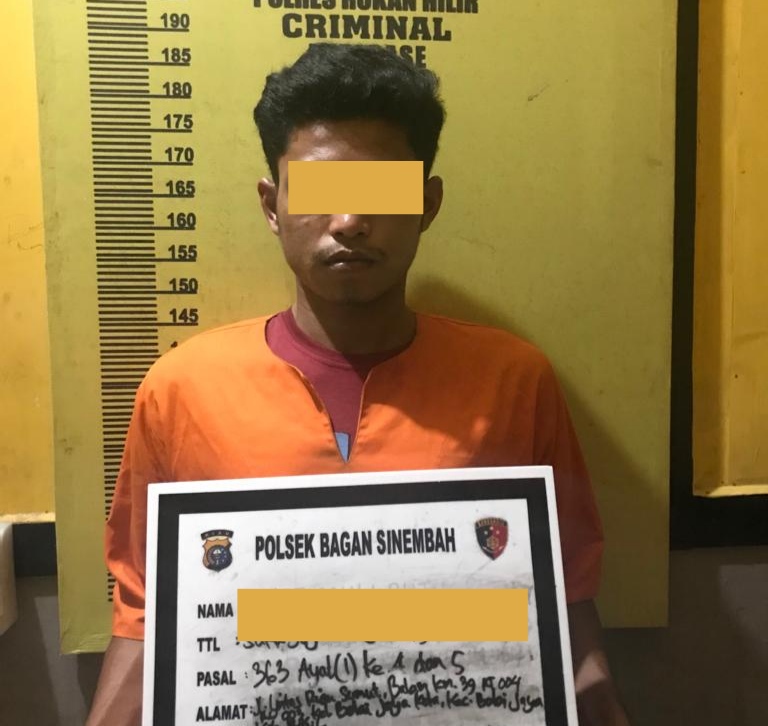 Ninja Buah Kelapa sawit PT Ivomas, Sopir Di Laporkan ke Polsek Bagan Sinembah
