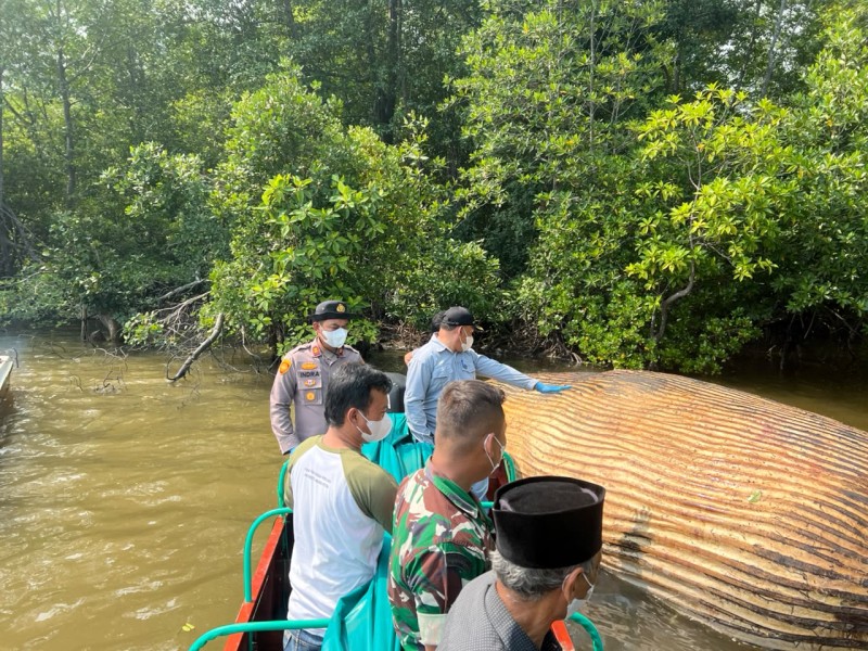 Tim Gabungan Evakuasi Diduga Bangkai Paus di Perairan Indragiri Hilir