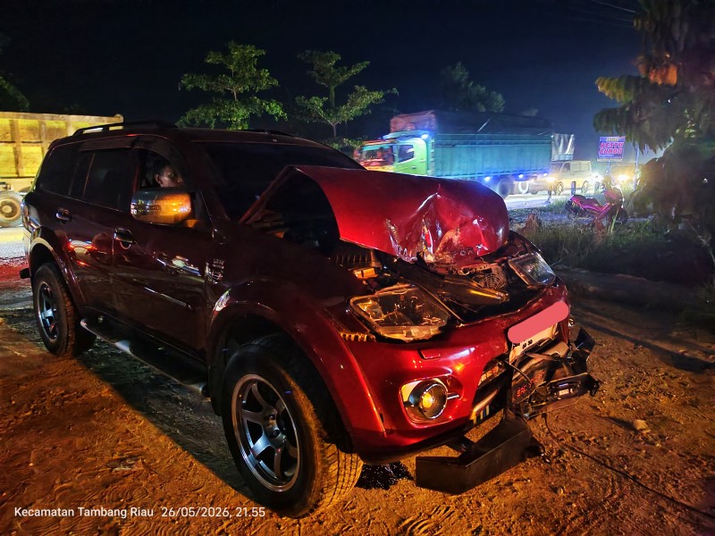 Kerbau Kurban Lepas Ditabrak Pajero di Jalan Pekanbaru–Bangkinang, Macet Hingga 1 KM