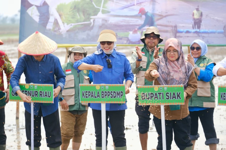 Kementan Tanam Serempak 50.000 Hektare, Siak Soroti Kendala Air Sawah