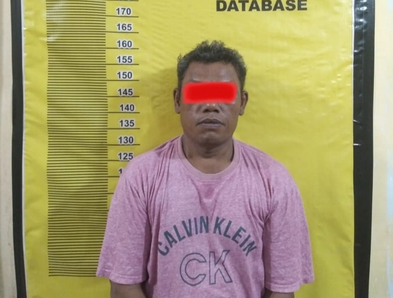 Pelaku KDRT di Perawang Ditangkap Tim Opnal Polsek Tualang