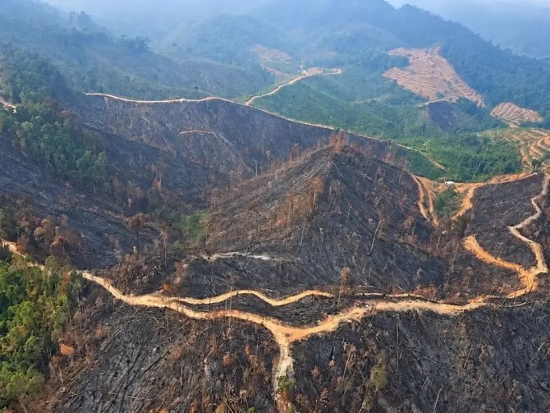 Satgas Udara Sisir Area Berkas Karhutla di Kampar