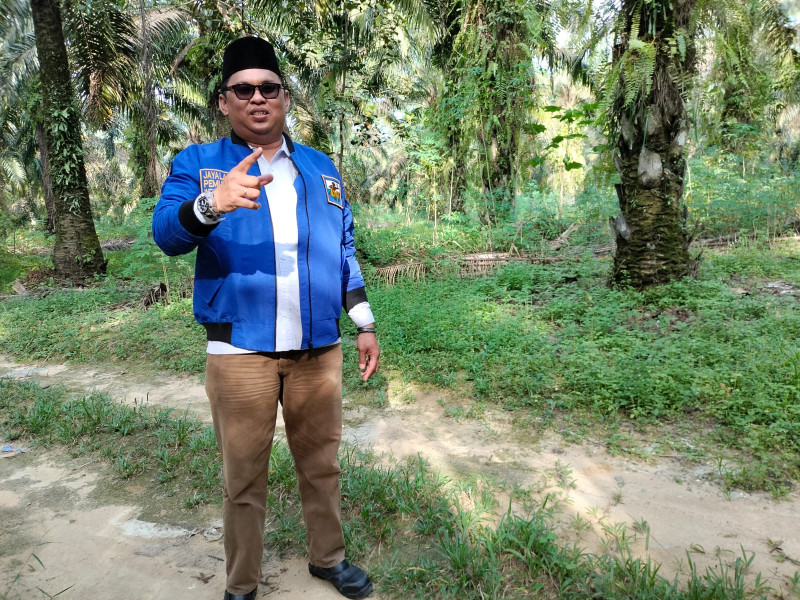 Bongkar Kasus Kepemilikan Kebun Kelapa Sawit Dalam Kawasan Hutan, Ketua KNPI Riau Kena Teror